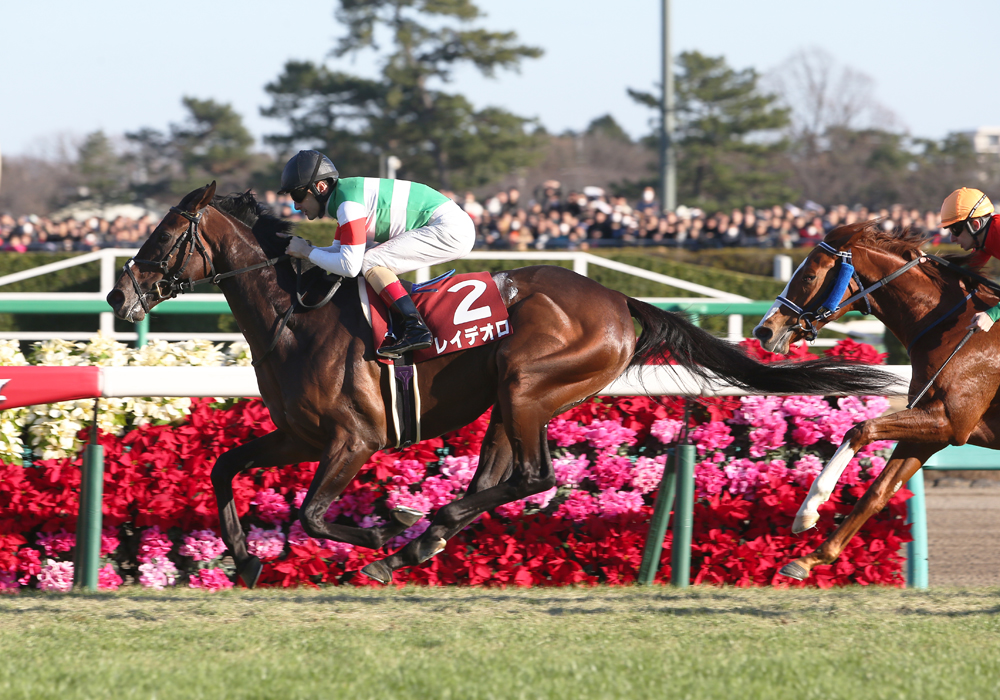 無傷3連勝でホープフルSを制したレイデオロ号、クラシックの戦いが楽しみだ
