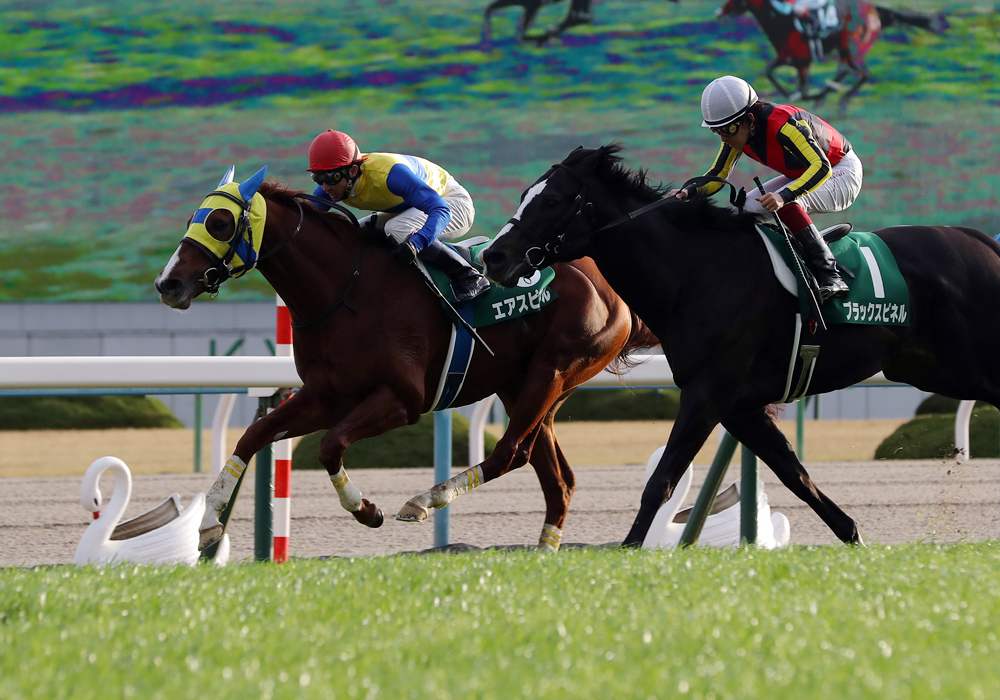 京都金杯で1年２カ月ぶりの重賞2勝目を決めたエアスピネル号、今年の躍進が期待される