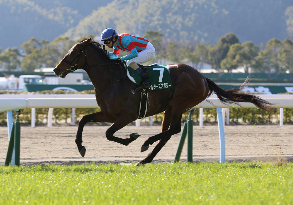 マルターズアポジー号は軽快なペースで小倉大賞典を逃げ切り勝ち