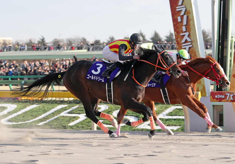 直線、馬場の真ん中を豪快に伸びたゴールドドリーム号が春のダート王者に輝いた