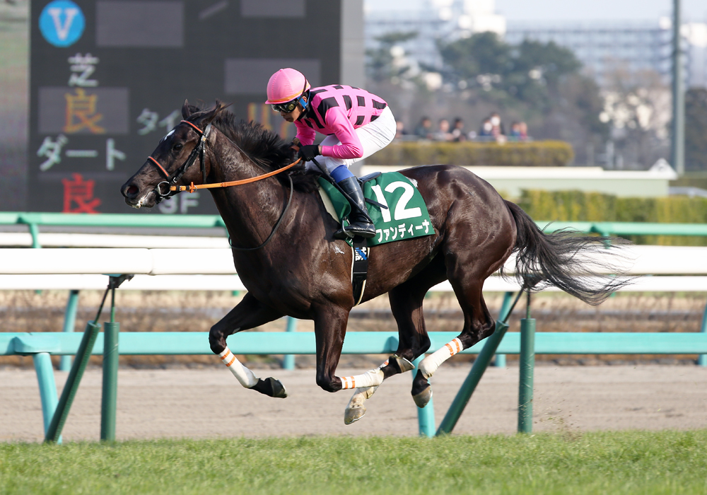 レコードＶの圧勝劇でフラワーCを制したファンディーナ号
