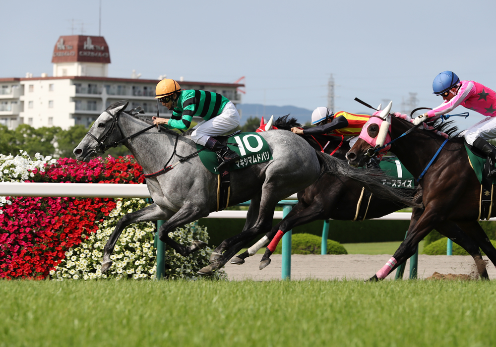 直線入口で先頭に立ったマキシマムドパリ号が愛知杯に続く重賞2勝目をマークした。