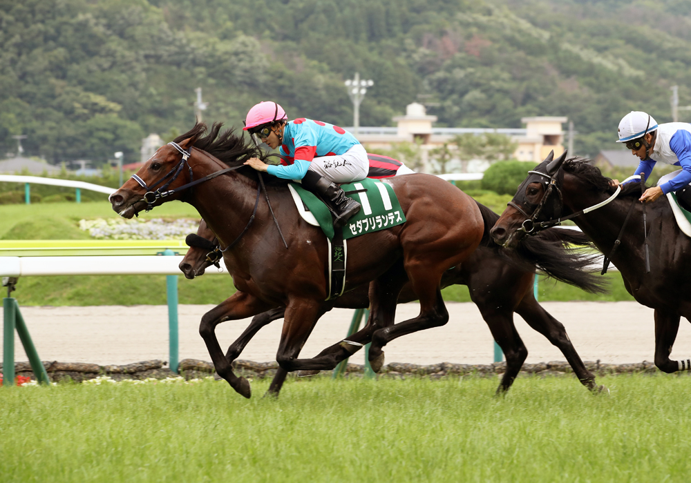 ゼダブリランテス号が、ゴール前横一線のせめぎ合いを制して3連勝で重賞制覇を決めた