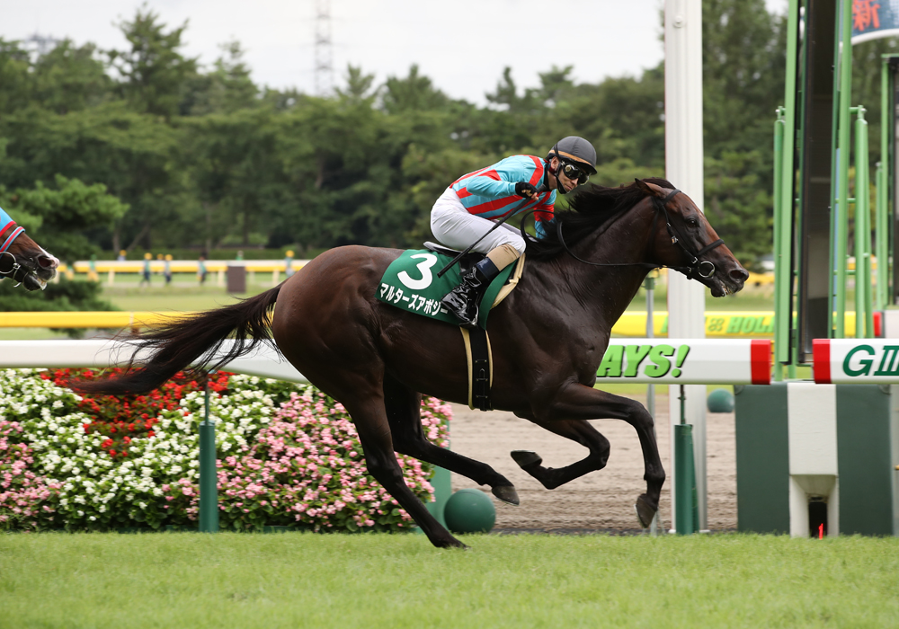 軽快なペースで関屋記念を逃げ切ったマルターズアポジー号