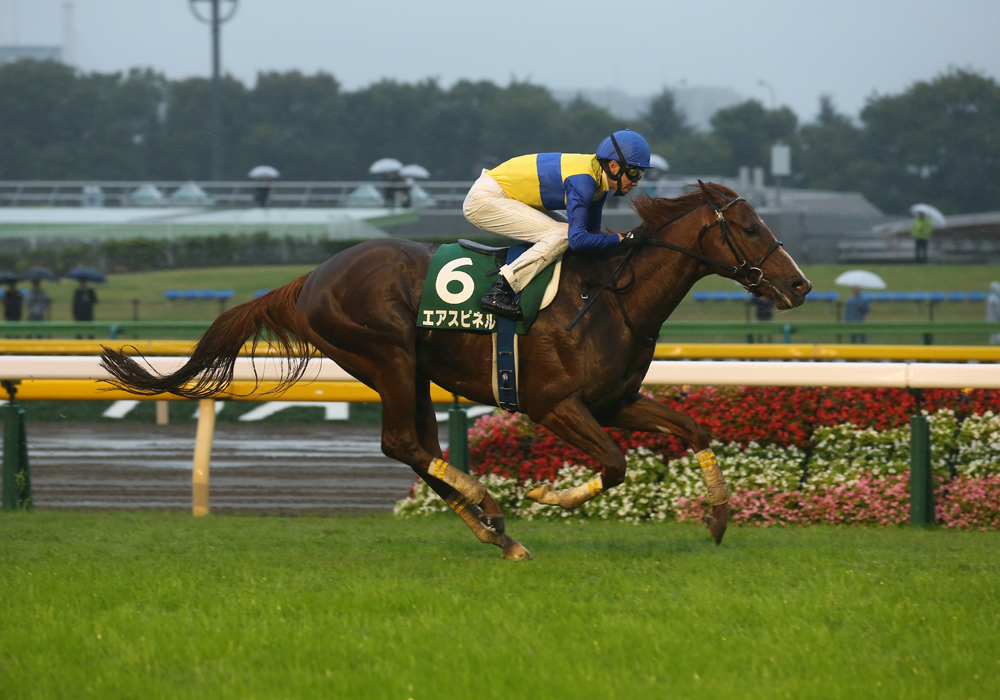 エアスピネル号が力強い伸び脚で富士ステークス優勝、重賞3勝目をマーク