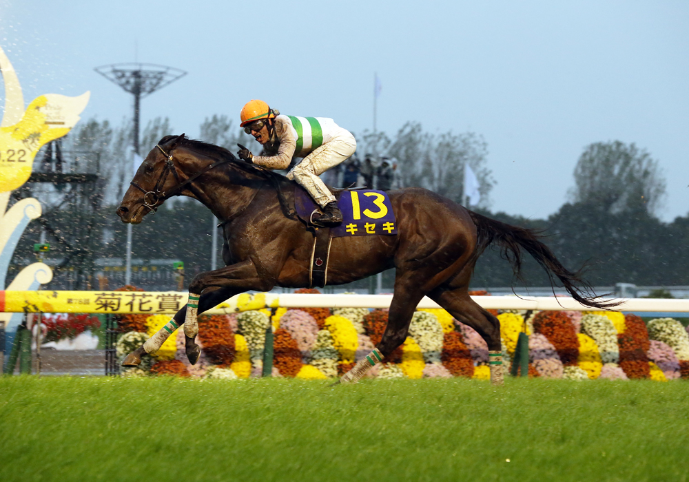 激しい雨をついて一気に伸びたキセキ号が第78代菊花賞馬に輝いた