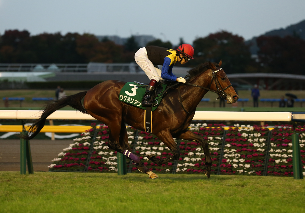 直線、軽く仕掛けただけで3馬身差をつける快勝劇を演じたワグネリアン号 来春のクラシックが楽しみだ