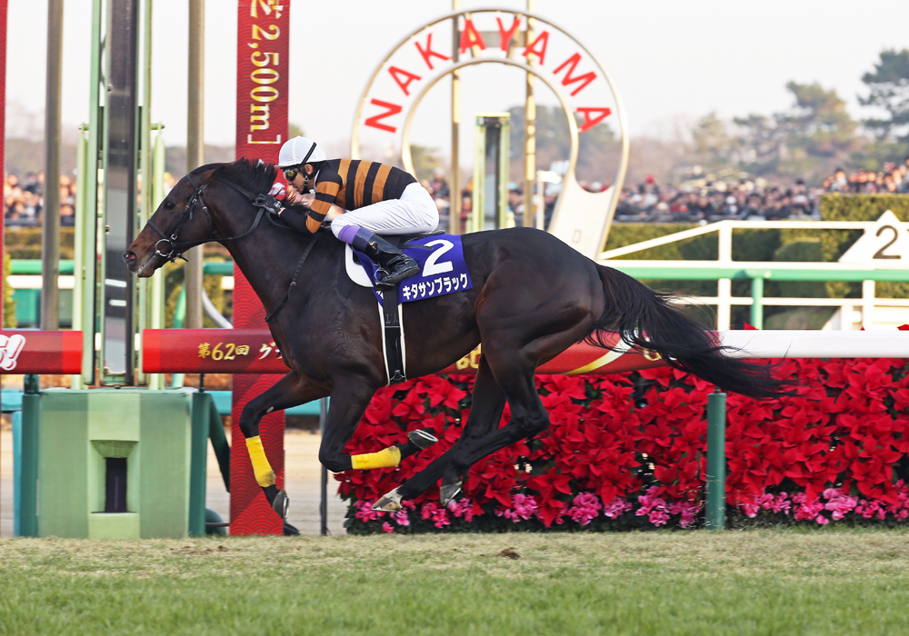 有馬記念・キタサンブラック号、中山大障害・オジュウチョウサン号、会員所有馬が土日GI制覇！ | 一般社団法人 東京馬主協会