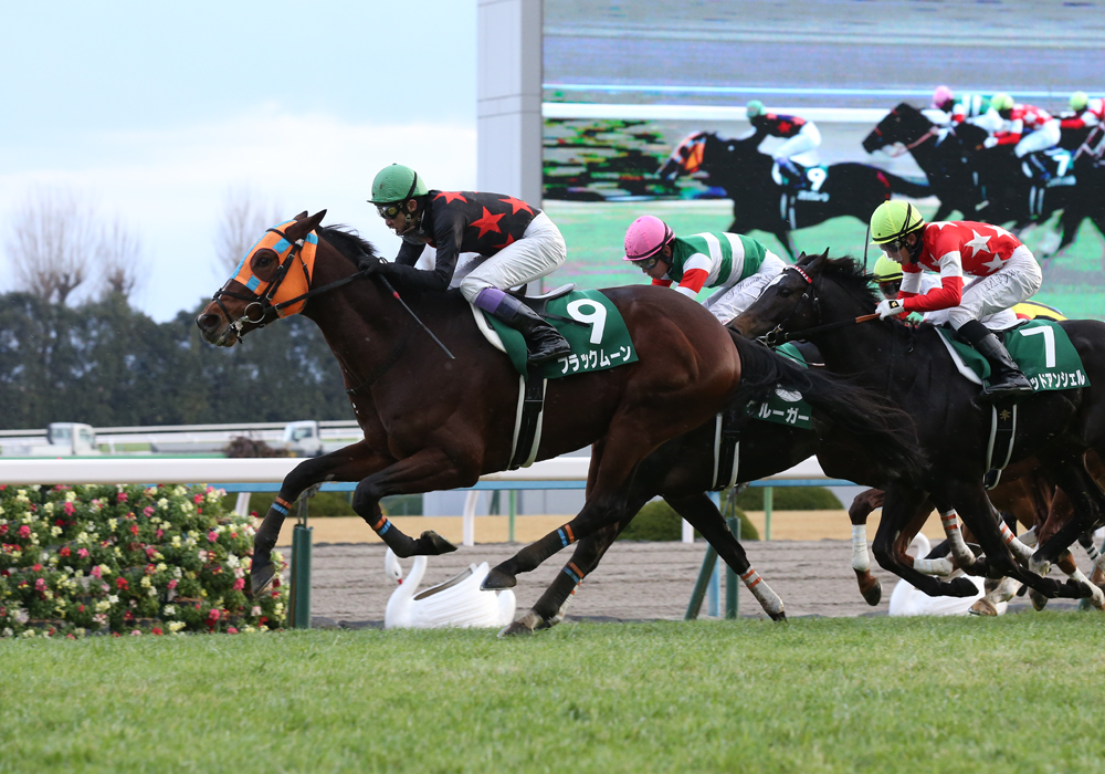 後方追走から直線一気の追い込みで京都金杯優勝、重賞初制覇を決めたブラックムーン号。今年も“ブラック“が活躍だ