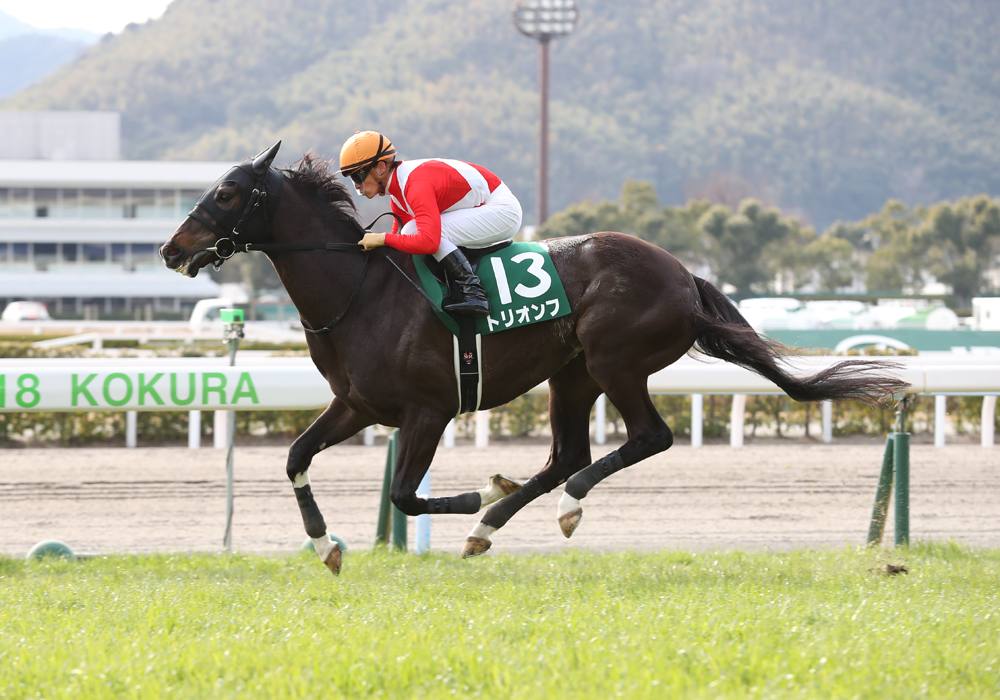 圧勝2連勝の力はダテではなかった。トリオンフ号、３連勝で重賞小倉大賞典圧勝