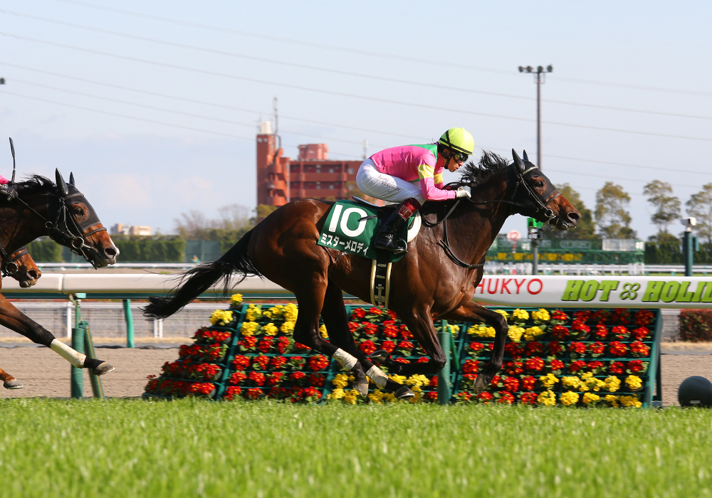 重賞勝ち馬を寄せ付けず、3歳短距離路線の主役に躍り出たミスターメロディ