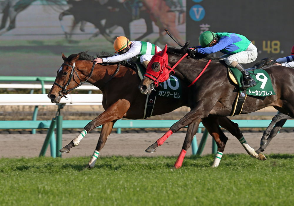 GⅠ4着馬の追撃を抑え、フラワーカップを制したカンタービレ