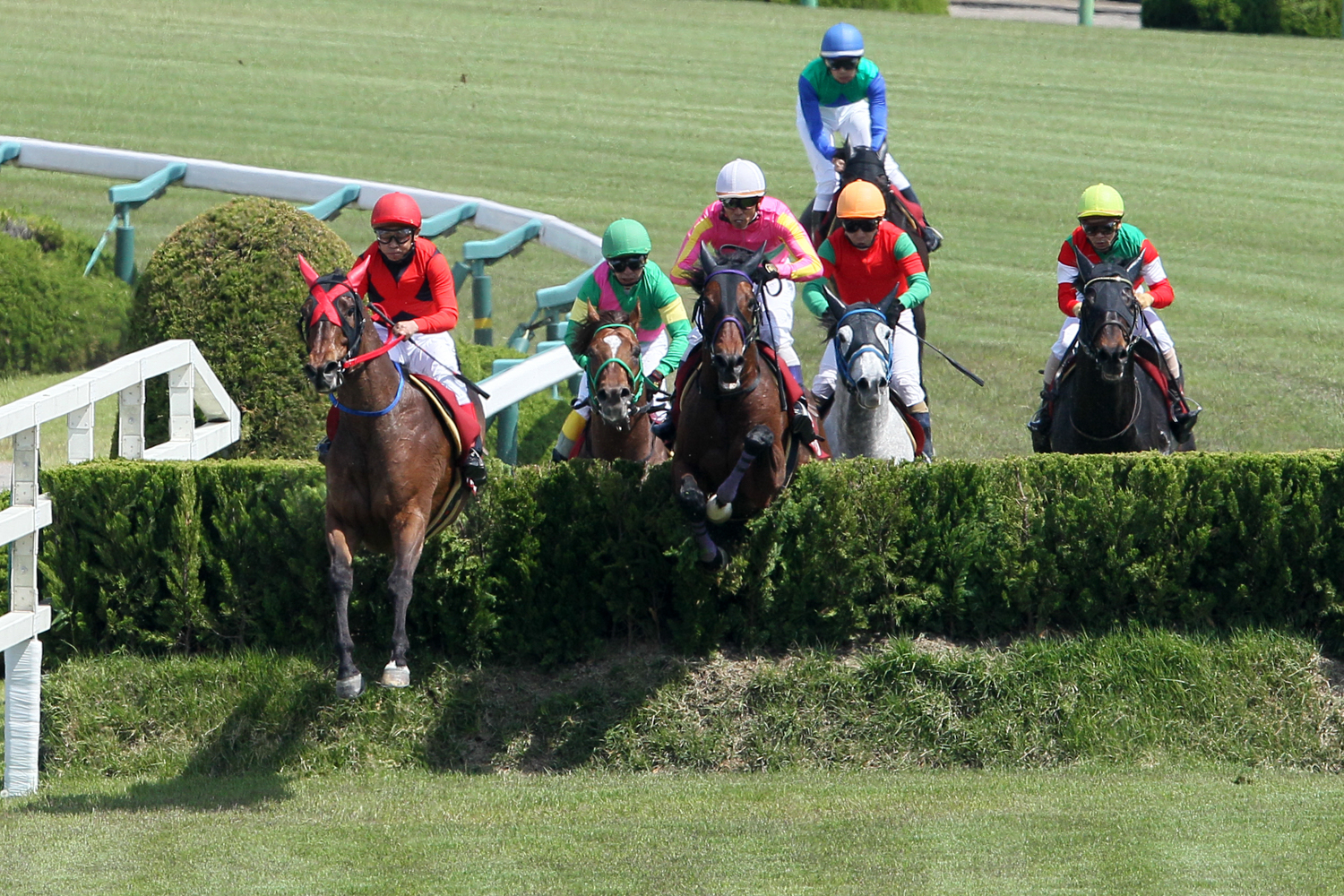 オープン特別の三木ホースランドパークジャンプＳに続き２連勝を飾ったアスターサムソン(帽色･赤)