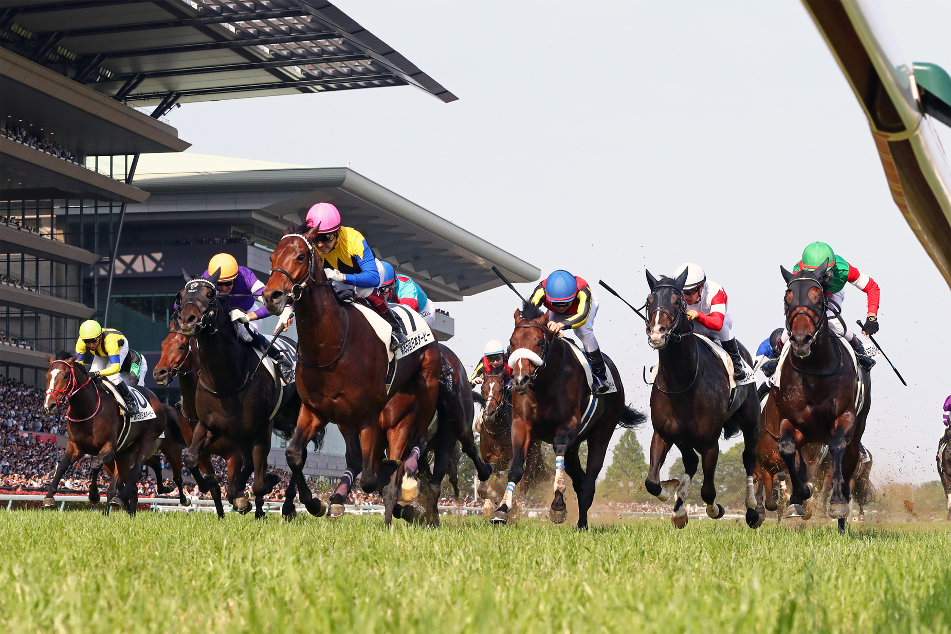 逃げた皐月賞馬エポカドーロ(帽色･緑)を残り50㍍でとらえたワグネリアン(帽色･桃)