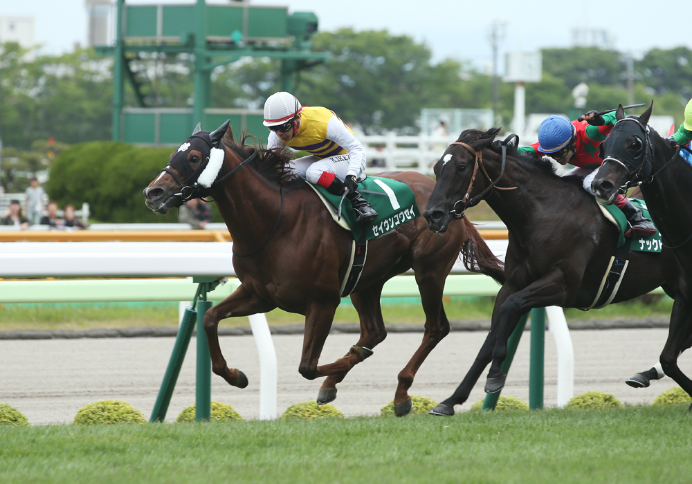 セイウンコウセイが鮮やかに逃げ切り、高松宮記念以来１年３か月ぶりの勝利を飾った