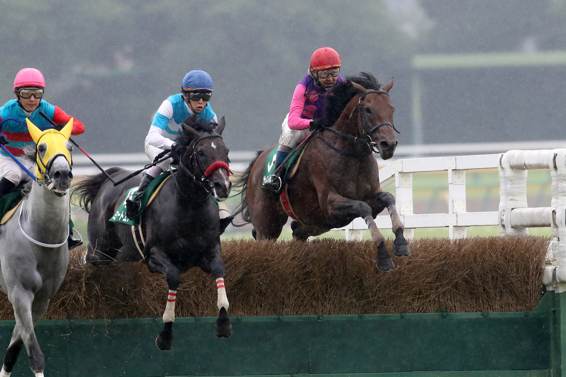 最終障害で一気に差を詰め、５馬身差で快勝したサーストンコラルド(帽色･赤)