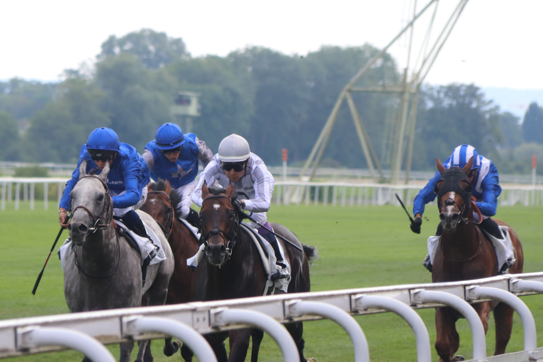 一旦は仏Ｇ２勝ち馬ジミートゥータイムズに並ばれたが、逃げたジェニアル(帽色・鼠)が半馬身振り切った