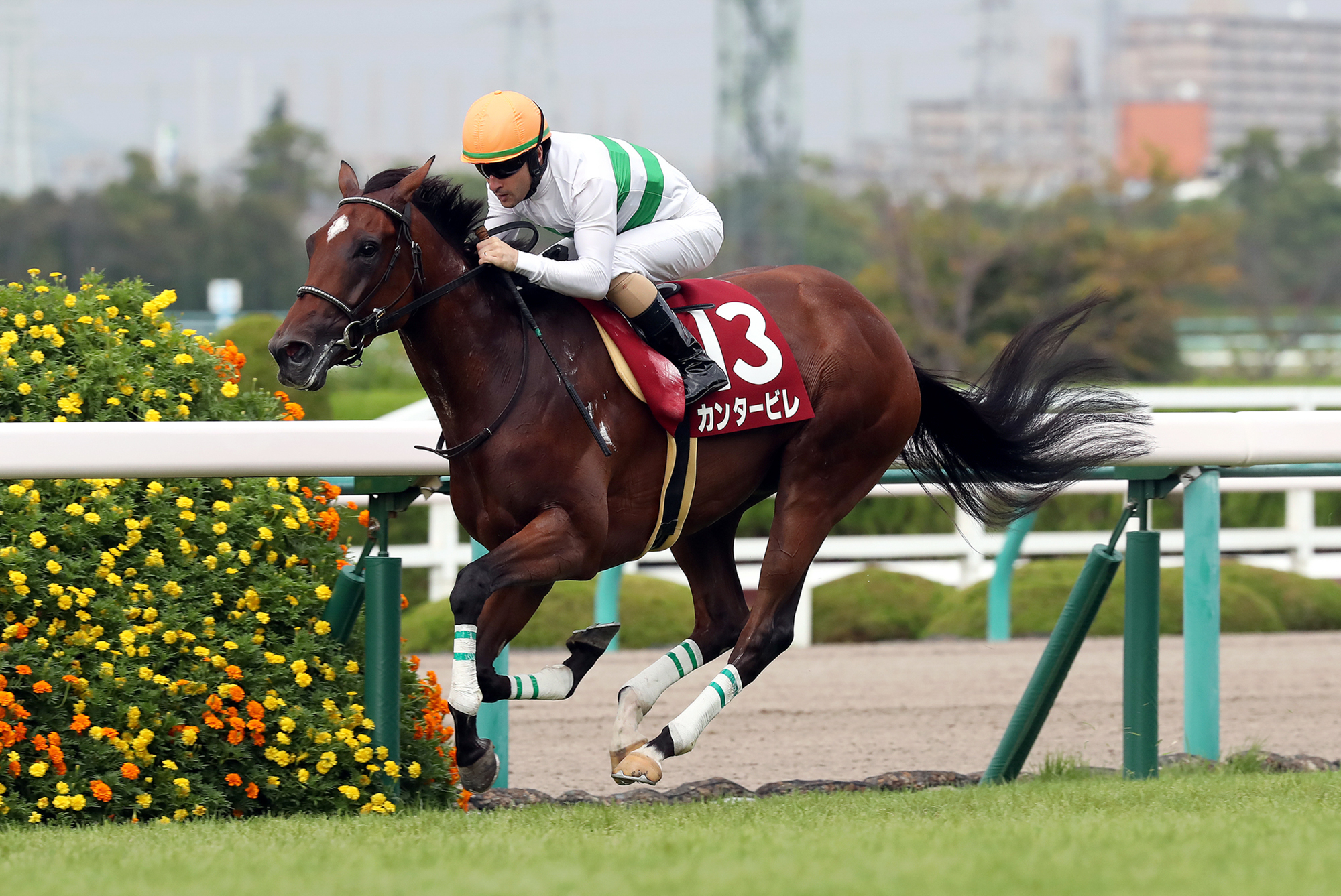 二冠牝馬 のライバル登場 順風満帆のカンタービレが挑戦権獲得 第36回ローズｓ 一般社団法人 東京馬主協会