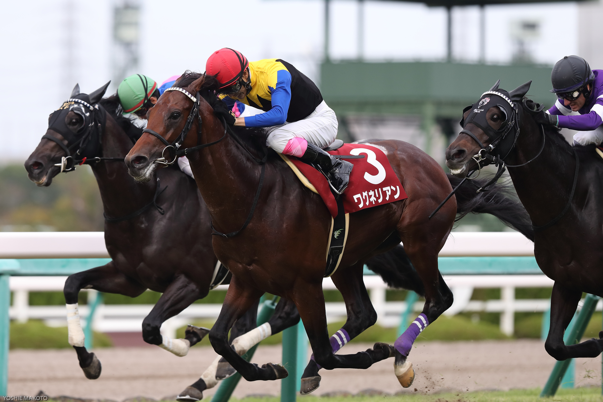 JRA 藤岡康太騎手500勝　ワグネリアン