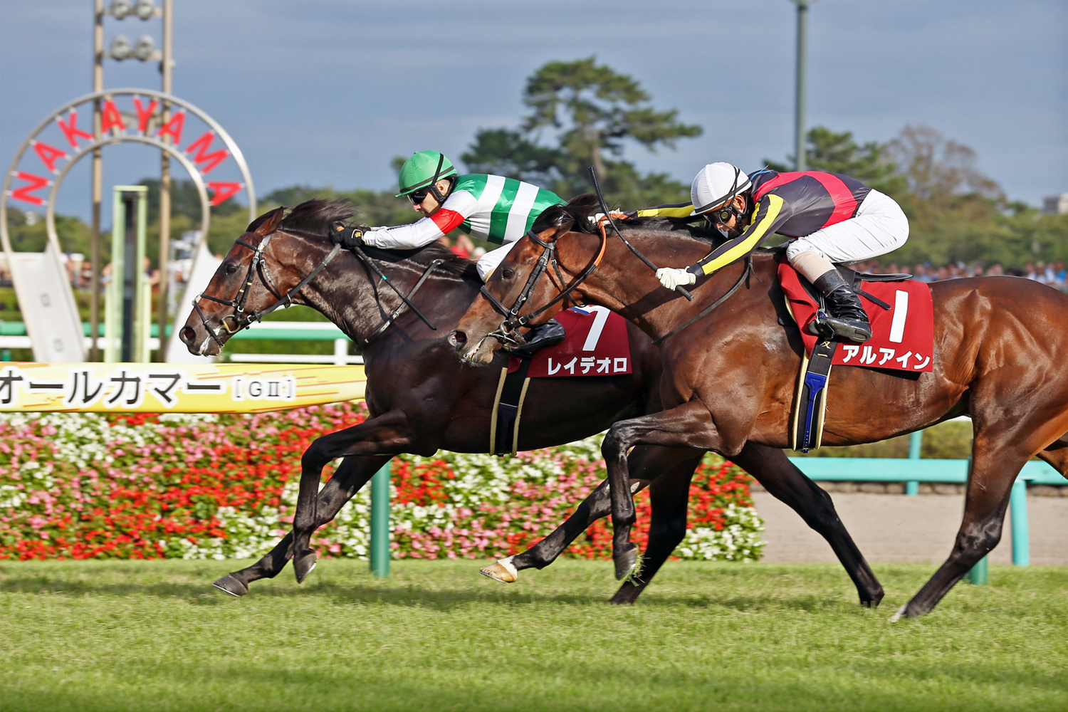 ２番手を進んだ皐月賞馬アルアインを、内から鋭く差し切ったレイデオロ