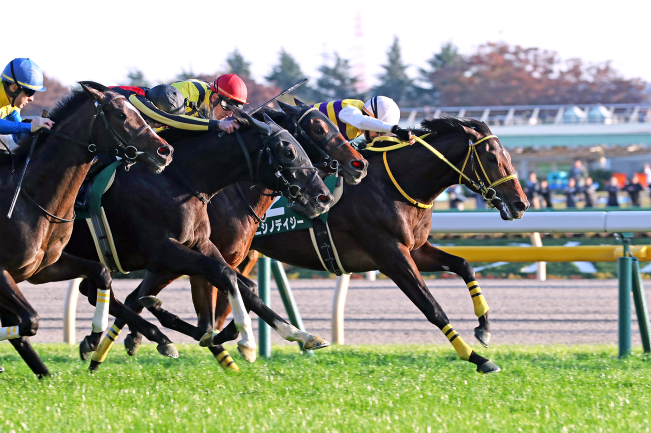 4頭の大接戦をハナ差制したニシノデイジー