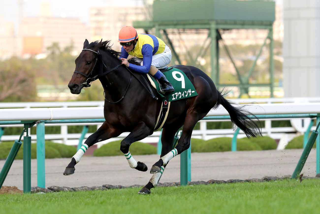 エアウィンザーは母エアメサイア(秋華賞)、兄エアスピネル(富士Sなど重賞3勝)がいる良血馬