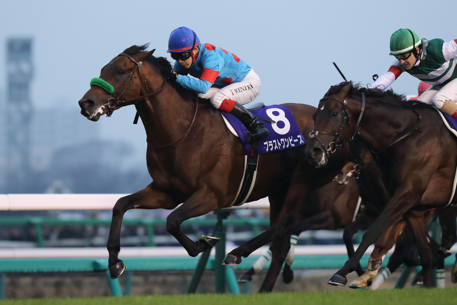 20181223有馬記念(ブライトワンピース)119M5029,4900K,alo2.jpg