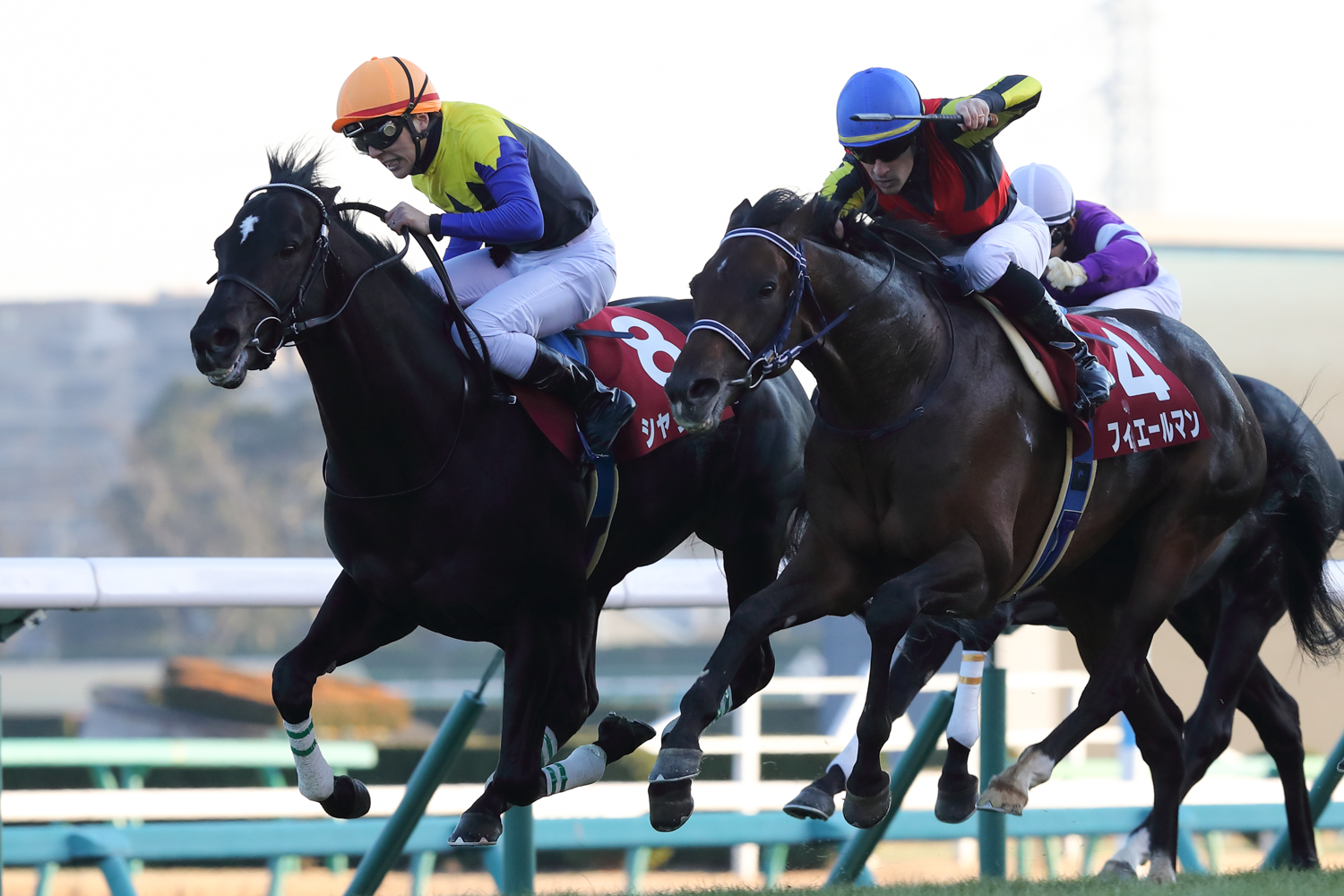 2017年の古馬中長距離ＧⅠを５戦連続戦ったシャケトラ(橙帽)が菊花賞馬フィエールマンの追撃を振り切った