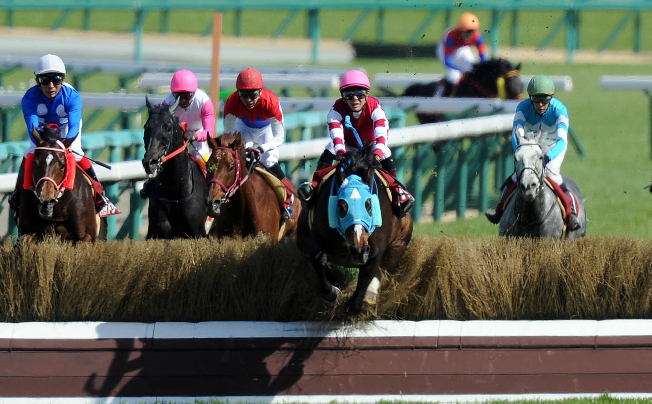 障害戦の重賞勝利数・重賞連勝数・獲得賞金など、数々の記録を更新したオジュウチョウサン