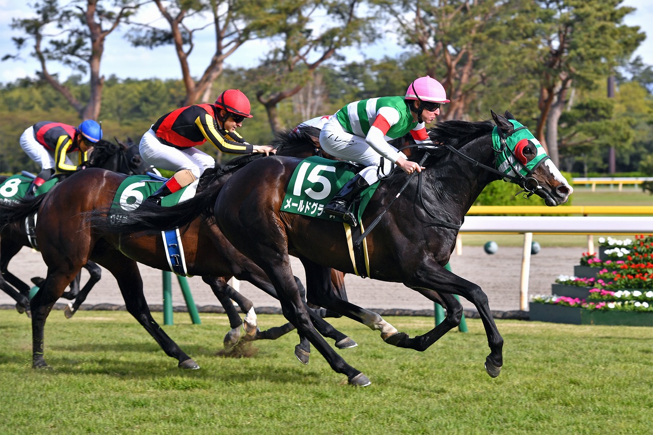 直線で外から各馬を差し切り、人馬共に重賞初勝利を飾った