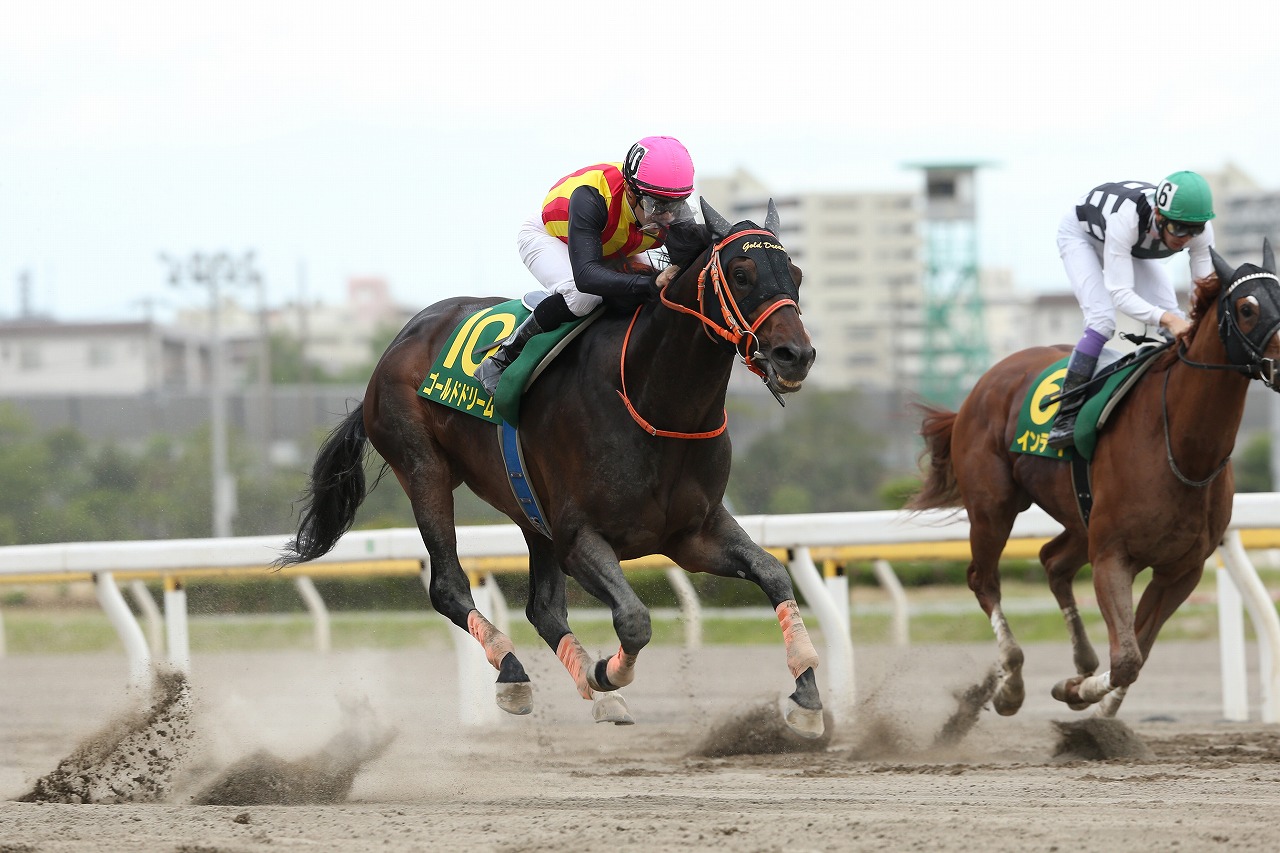 フェブラリーSの1、2着馬による再戦は、ゴールドドリームがインティにリベンジを果たした