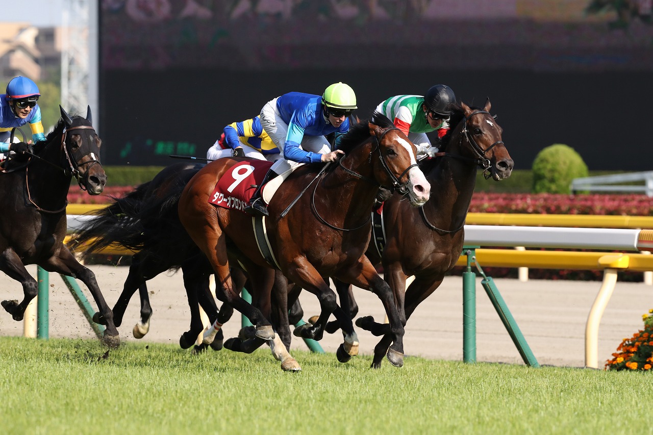 鞍上のレーン騎手は最後の直線で6番手からじわじわ追い上げ、ゴール直前で先頭をかわした