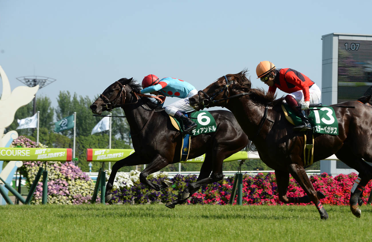 1番人気に応えて快勝したディアンドル。開業5年目の奥村豊調教師は本馬と共に重賞初制覇となった