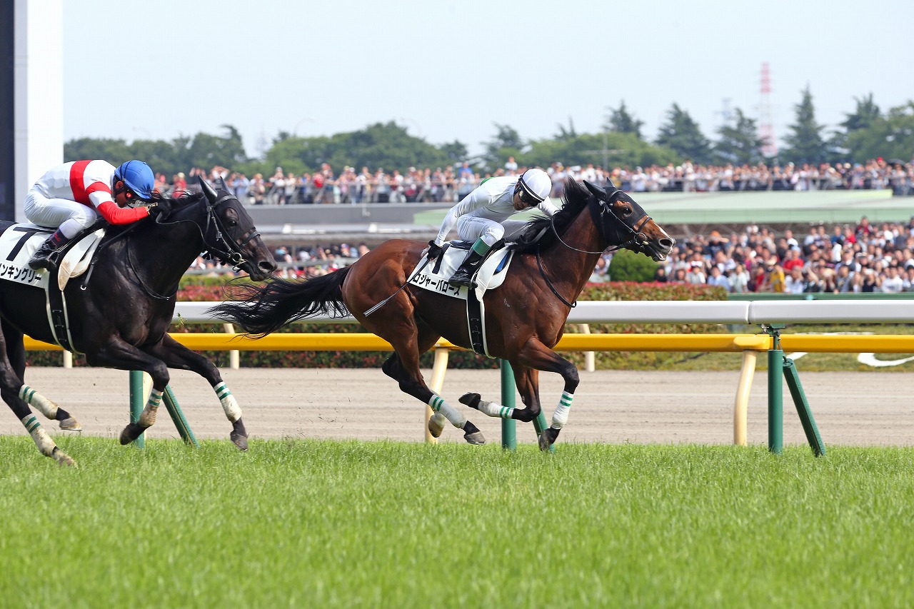 道中は２番手で進み、最後の直線では後続馬の猛追を振り切った