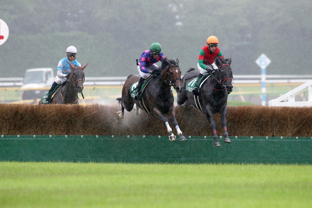 中山グランドＪの２～４着馬が集う中、見事な飛越でレースを制したシングンマイケル