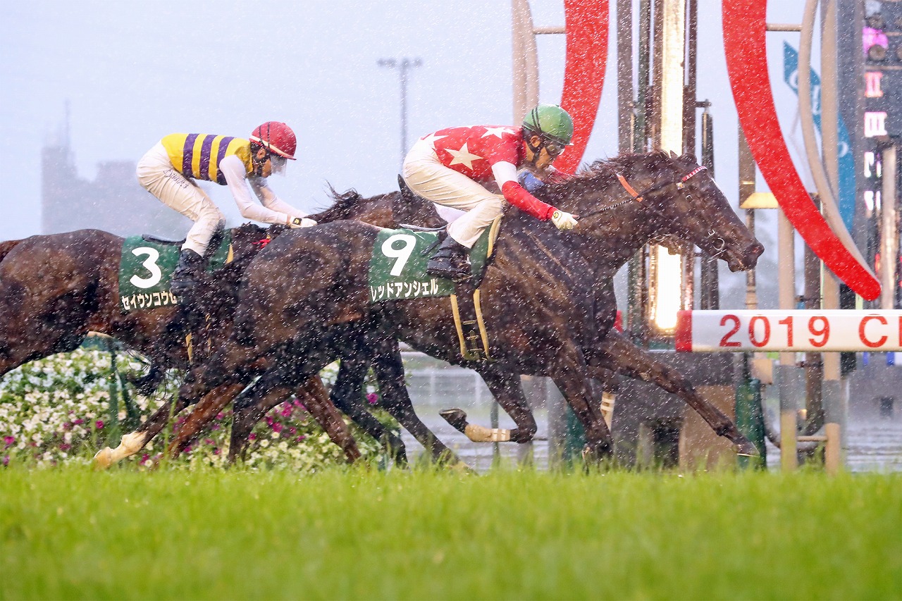 芝1,200m戦で２連勝し、スプリント界の新星として名乗りをあげたレッドアンシェル