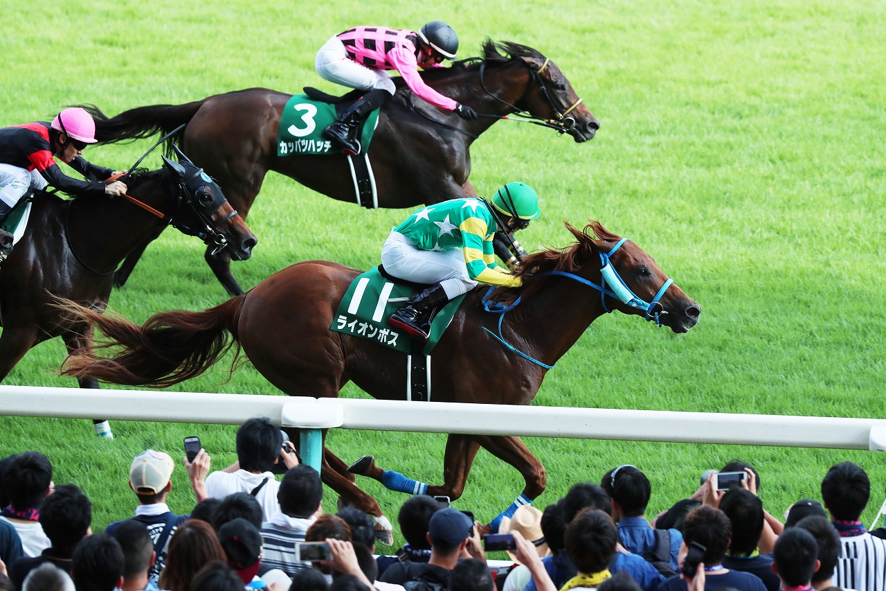 邁進特別、韋駄天Ｓに続いて直線レース３連勝を飾ったライオンボス