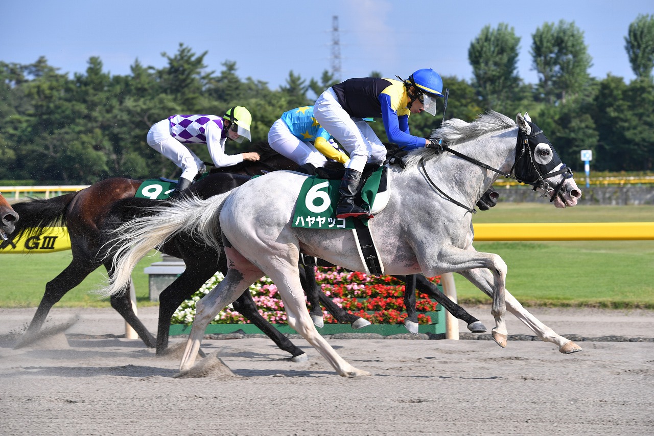 ＪＲＡ史上初となる白毛馬の重賞制覇を飾ったハヤヤッコ