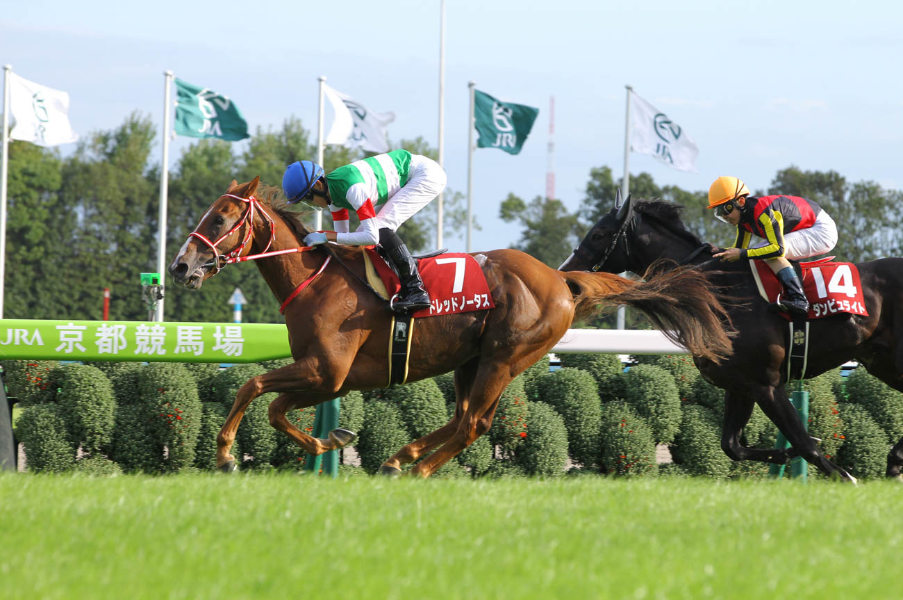 京都２歳Ｓ以来の栄冠を手にしたドレッドノータス