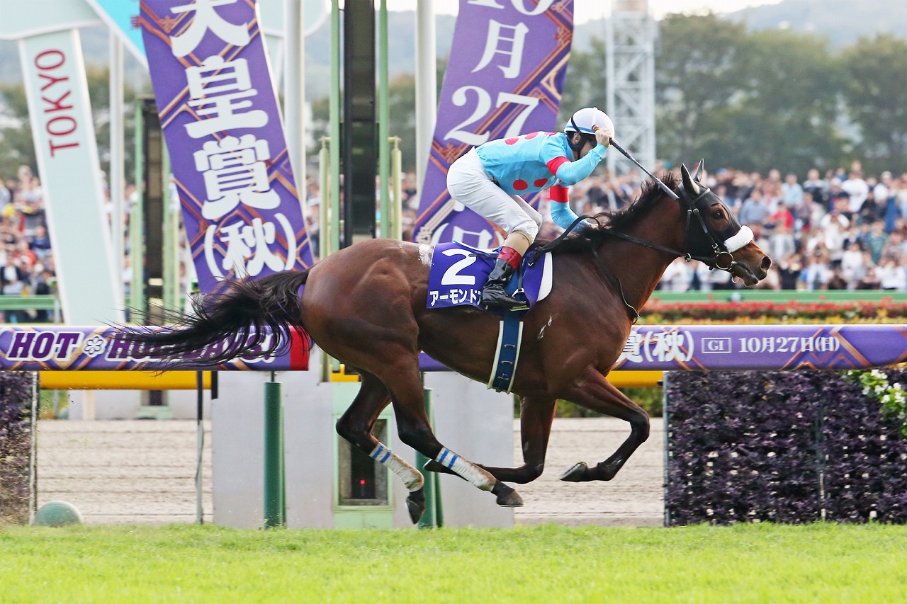 アーモンドアイが天皇賞を快勝 有 シルクレーシングは今週の重賞タイトル全制覇 一般社団法人 東京馬主協会