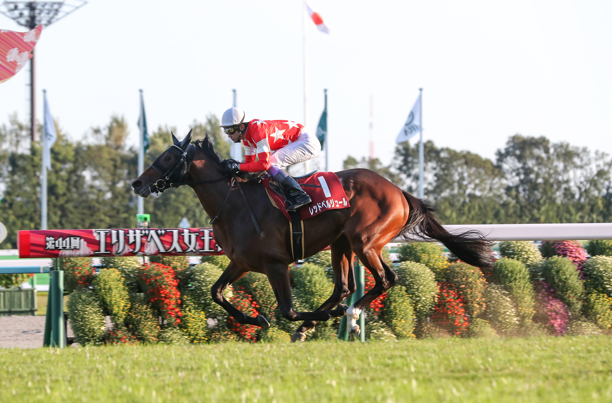 名手・武豊騎手がレッドベルジュールを重賞勝利に導いた