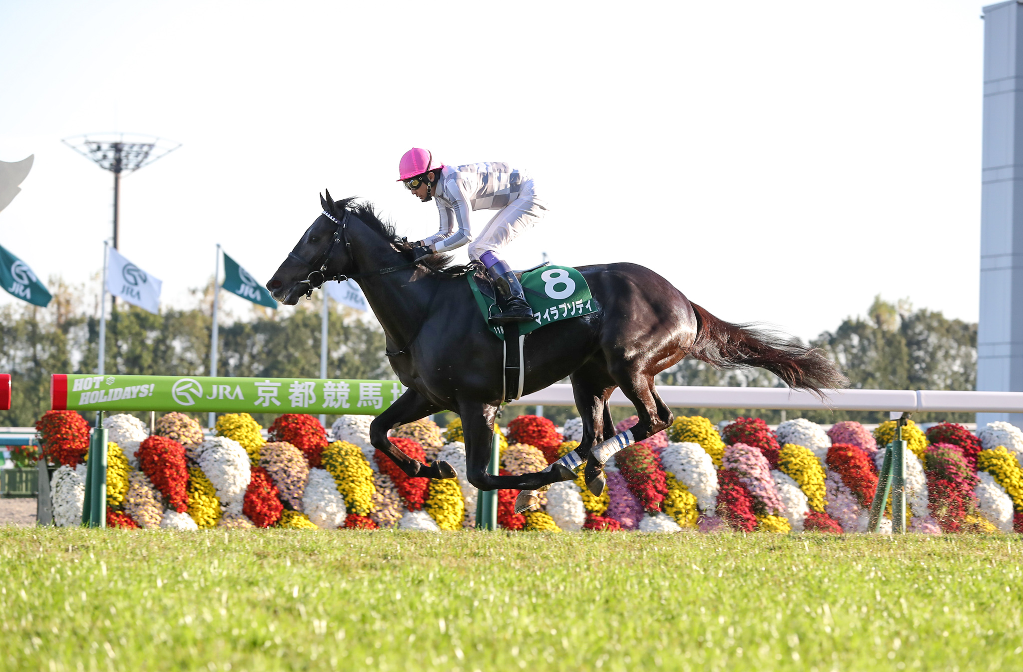 最後の直線で一気に突き抜け、2着ミヤマザクラに2馬身差をつけて勝利を挙げた
