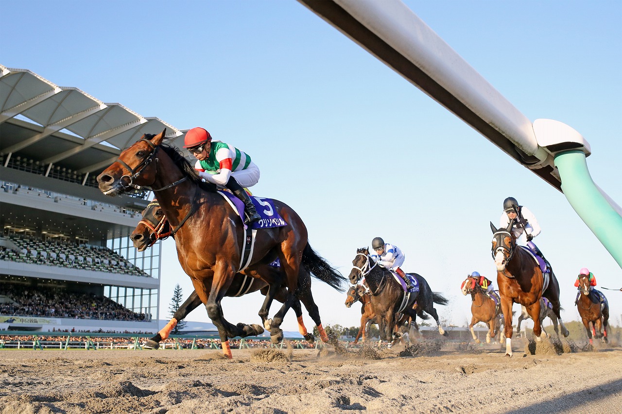 グレード制導入以降、2頭目となる無敗での古馬GⅠ優勝を果たしたクリソベリル