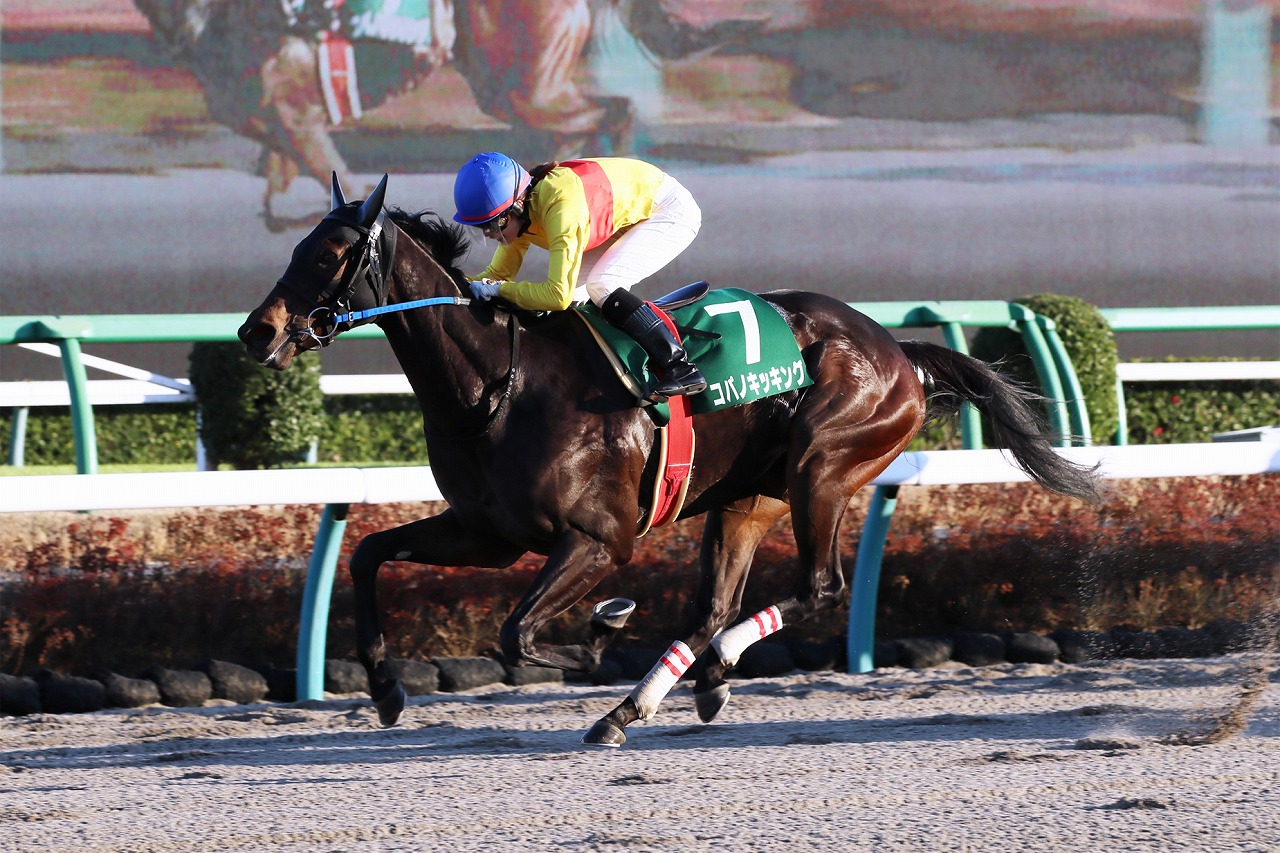 藤田菜七子騎手はコパノキッキングとコンビを組み、大井の東京盃に続き重賞２勝目を挙げた