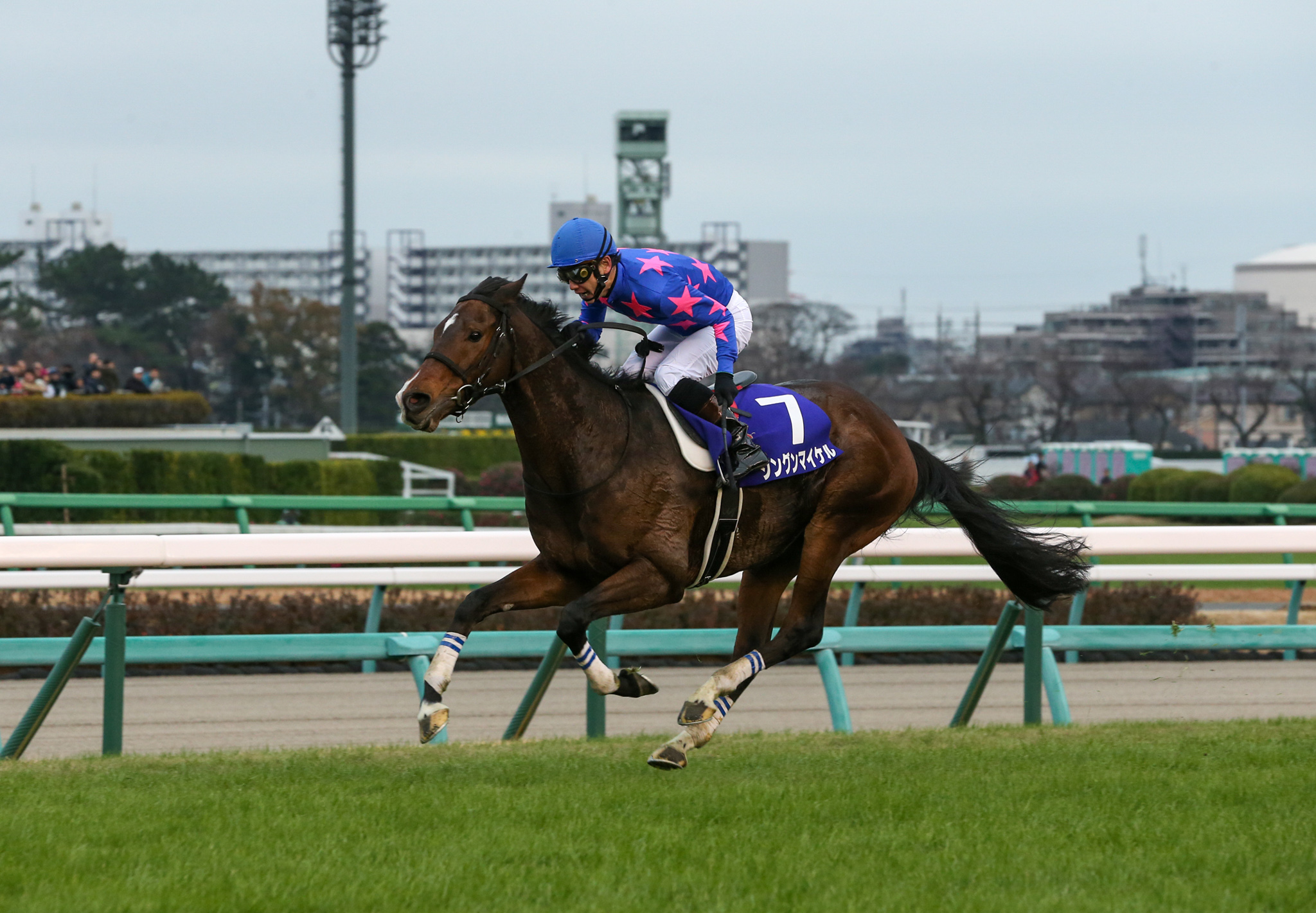 飛躍を遂げたシングンマイケル 中山大障害を制し障害ｇ 初制覇 一般社団法人 東京馬主協会