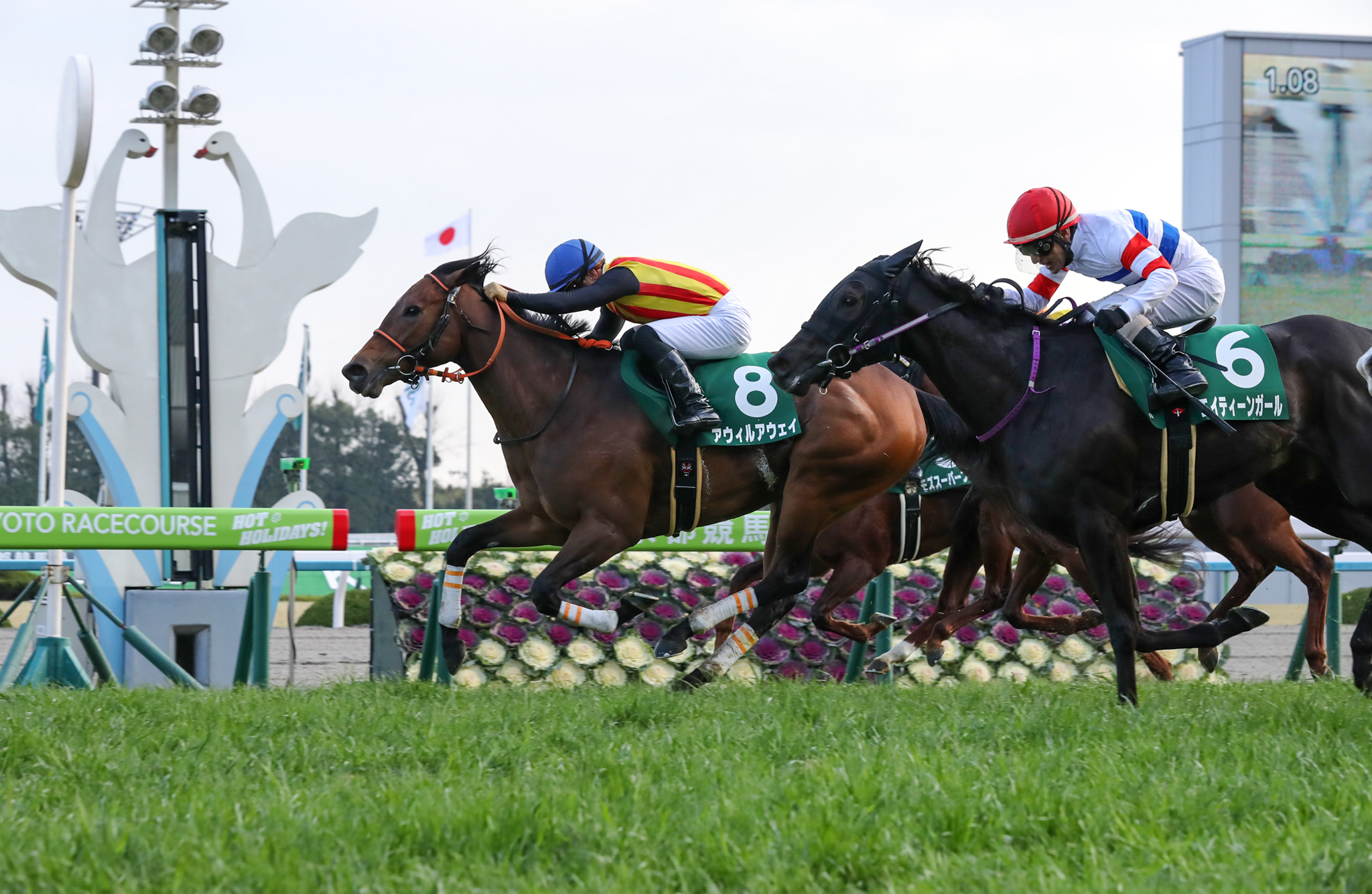 昨年度の最優秀短距離馬に輝いたインディチャンプの半妹として、良血開花の走りを見せた