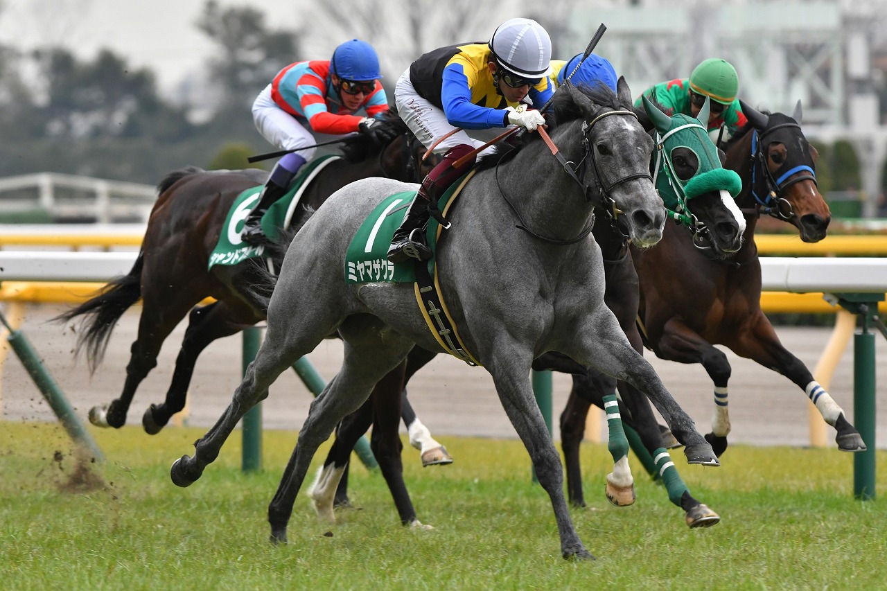 福永祐一騎手とコンビを組み、初めてのマイル戦で見事に勝利を収めた