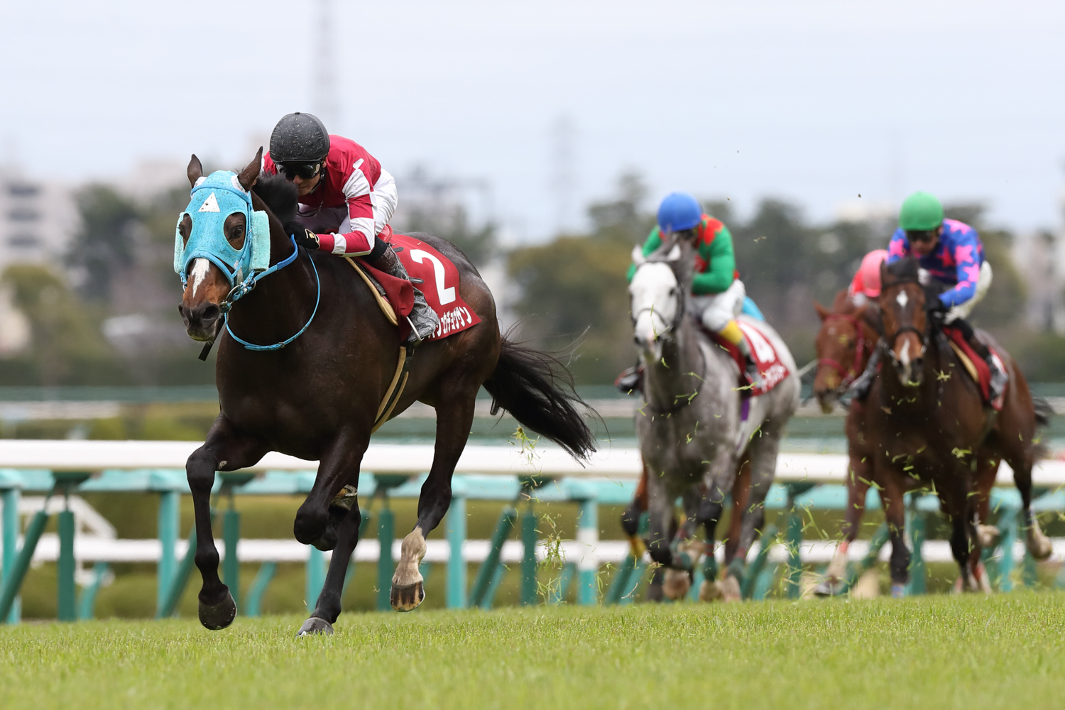 ９馬身差でレコードタイムを叩き出し、歴代単独１位の障害重賞12勝目をあげた