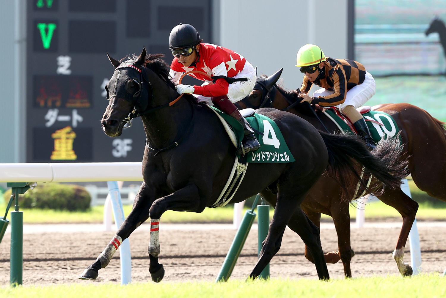 切れ味抜群 レッドアンシェルがトップハンデの実力を披露 第55回北九州記念 一般社団法人 東京馬主協会