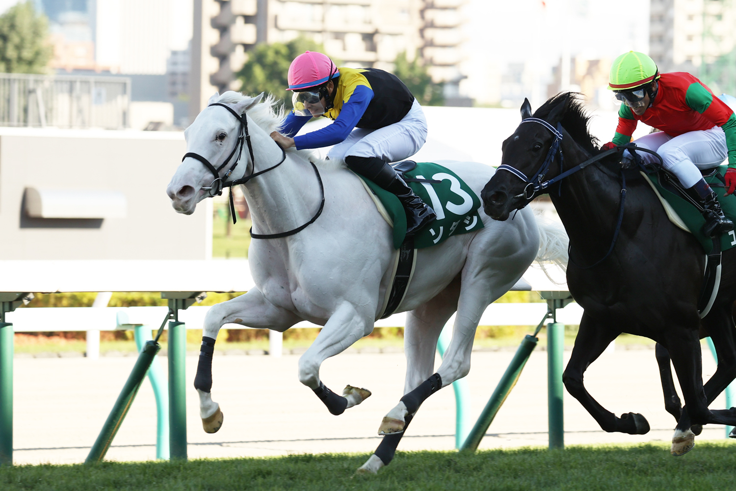白毛馬のJRA重賞勝利はハヤヤッコ(2019年レパードS)に次ぎJRA史上2頭目